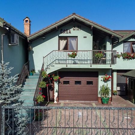 Hotel Casa Cizi Călimăneşti Exterior foto