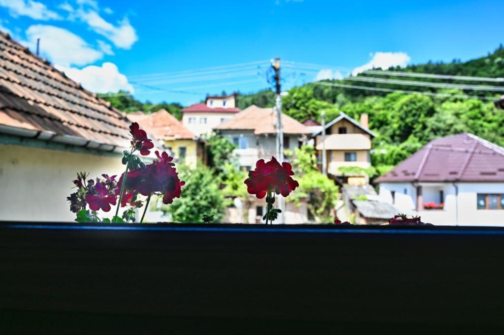 Hotel Casa Cizi Călimăneşti Exterior foto